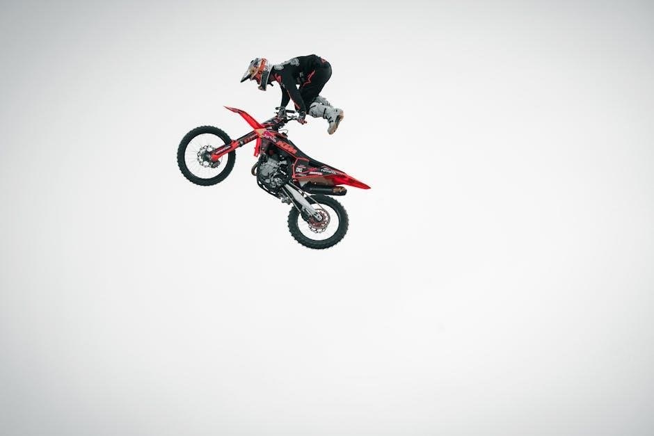 freestyle precision neo manual