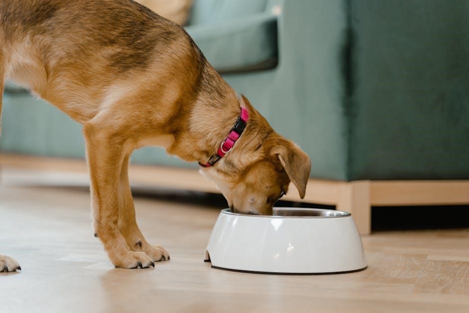 natures menu puppy feeding guide